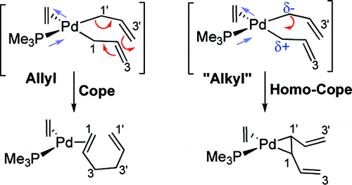 A DFT study of the effect of the ligands in the reductive elimination from palladium bis(allyl) complexes