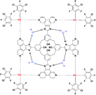 A deep tetranuclear metallo-cavitand with bis(aryl) palladium bridges