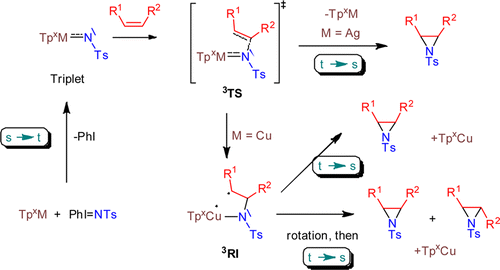 A general mechanism for the copper- and silver-catalyzed olefin aziridination reactions: Concomitant involvement of the singlet and triplet pathways