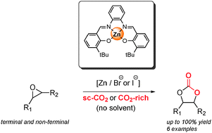 A highly active Zn(salphen) catalyst for production of organic carbonates in a green CO2 medium