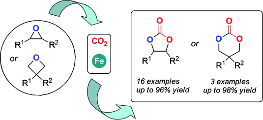 An efficient iron catalyst for the synthesis of five- and six-membered organic carbonates under mild conditions