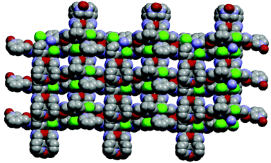 Anion influence on the structures of a series of copper(II) metal-organic frameworks
