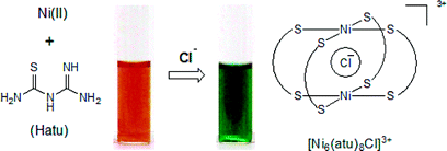 Anion templated synthesis of metalla-cages as means for the colorimetric detection of chlorides