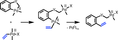 Aryl transfer between Pd(II) centers or Pd(IV) intermediates in Pd-catalyzed domino reactions