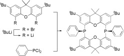 Bisxantphos: Stereoselective synthesis and coordination behavior of a new class of cyclic double bridged diphosphines