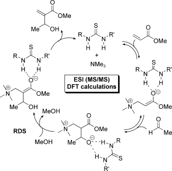 Brønsted acid catalyzed Morita–Baylis–Hillman reaction: A new mechanistic view for thioureas revealed by ESI-MS(/MS) monitoring and DFT calculations