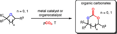 Catalyst Development in the Context of Ring Expansion-Addition of Carbon Dioxide to Epoxides to Give Organic Carbonates