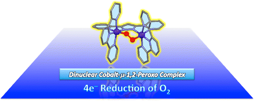 Catalytic four-electron reduction of O2 via rate-determining proton-coupled electron transfer to a dinuclear cobalt-?-1,2-peroxo complex