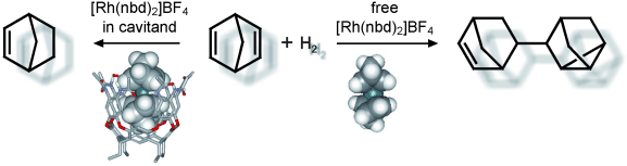 Catalytic hydrogenation of norbornadiene by a rhodium complex in a self-folding cavitand