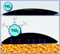 Charge recombination studies in conformally coated trifluoroacetate/TiO2 modified dye sensitized solar cells (DSSC)