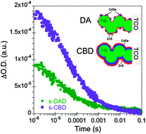Charge transfer kinetics in CdSe quantum dot sensitized solar cells