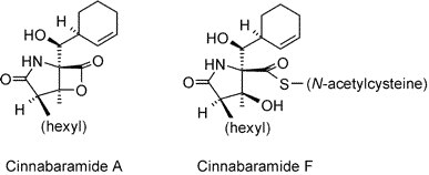 Cinnabaramides A-G: Analogues of lactacystin and salinosporamide from a terrestrial Streptomycete