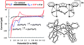 Cobalt analogs of Ru-based water oxidation catalysts: Overcoming thermodynamic instability and kinetic lability to achieve electrocatalytic O2 evolution