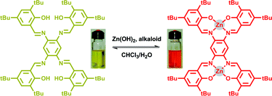 Colorimetric discrimination between important alkaloid nuclei mediated by a bis-salphen chromophore