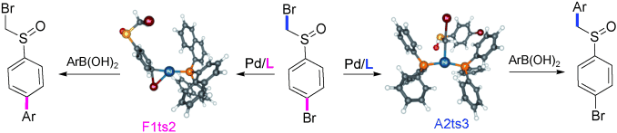 Competitive and selective Csp3-Br versus Csp2-Br bond activation in palladium-catalysed Suzuki cross-coupling: An experimental and theoretical study of the role of phosphine ligands