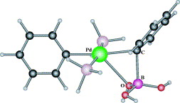 Computational study of the transmetalation process in the Suzuki–Miyaura cross-coupling of aryls