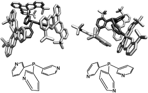 Conformational studies of ligand-template assemblies and the consequences for encapsulation of rhodium complexes and hydroformylation catalysis