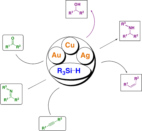 Copper, silver, and gold complexes in hydrosilylation reactions