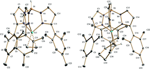 Copper(I)-olefin complexes: The effect of the trispyrazolylborate ancillary ligand in structure and reactivity