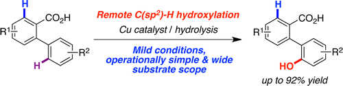 Cu-Catalyzed Mild C(sp2)-H Functionalization Assisted by Carboxylic Acids en Route to Hydroxylated Arenes