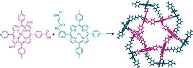 Cyclic oligomers based on complementary Zn(II) and Sn(IV)-porphyrins