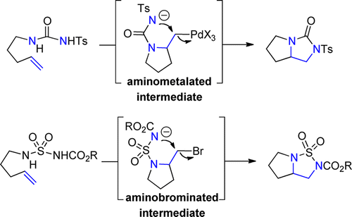 Development of intramolecular vicinal diamination of alkenes: From palladium to bromine catalysis