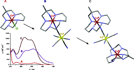 Dinuclear cyano-bridged CoIII-FeII complexes as precursors for molecular mixed-valence complexes of higher nuclearity
