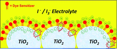 Dye mediated charge recombination dynamics in nanocrystalline TiO2 dye sensitized solar cells