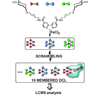 Dynamic Multivalency for Carbohydrate-Protein Recognition through Dynamic Combinatorial Libraries Based on FeII-Bipyridine Complexes