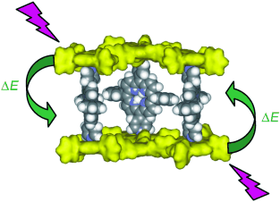 Energy migration in a self-assembled nonameric porphyrinic molecular box