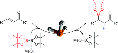 Essential role of phosphines in organocatalytic ?-boration reaction