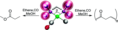 Ester versus polyketone formation in the palladium-diphosphine catalyzed carbonylation of ethene