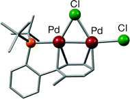 Experimental and theoretical investigations of new dinuclear palladium complexes as precatalysts for the amination of aryl chlorides
