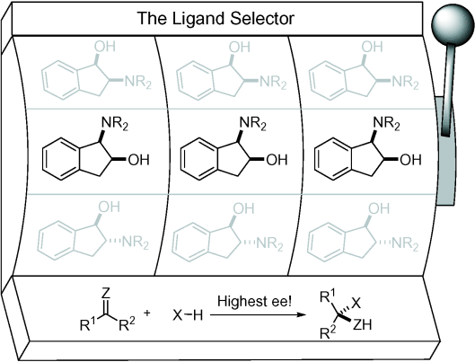 Exploring structural diversity in ligand design: The aminoindanol case