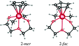 Fac versus mer coordination for a tridentate diethylene glyclolate ligand in tantalum complexes: a combined experimental and theoretical study