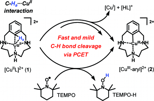 Facile C-H bond cleavage via a proton-coupled electron transfer involving a C-H• • •CuII interaction