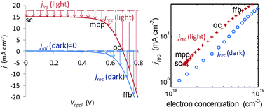Factors controlling charge recombination under dark and light conditions in dye sensitised solar cells
