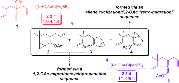 Gold- and platinum-catalyzed cycloisomerization of enynyl esters versus allenenyl esters: An experimental and theoretical study