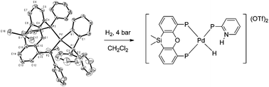 Heterolytic activation of dihydrogen by platinum and palladium complexes