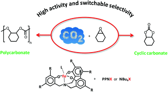 High activity and switchable selectivity in the synthesis of cyclic and polymeric cyclohexene carbonates with iron amino triphenolate catalysts