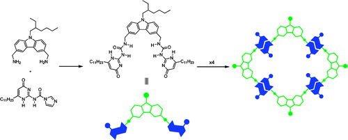 Hydrogen-bonded cyclic tetramers based on ureidopyrimidinones attached to a 3,6-carbazolyl spacer