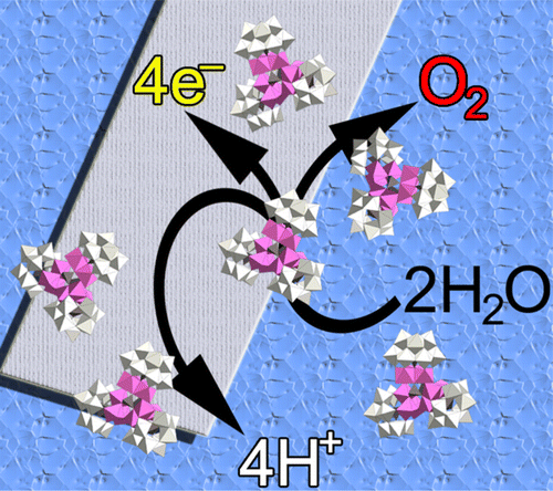 Identification of a nonanuclear {CoII9} polyoxometalate cluster as a homogeneous catalyst for water oxidation
