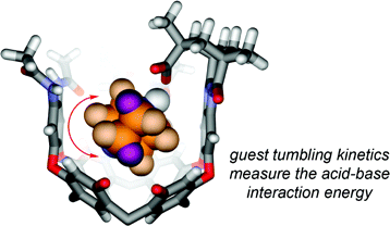 Interaction energies and dynamics of acid-base pairs isolated in cavitands