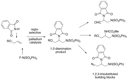 Intermolecular regioselective 1,2-diamination of allylic ethers