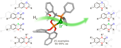 [Ir(P-OP)]-Catalyzed Asymmetric Hydrogenation of Diversely Substituted C+N-Containing Heterocycles