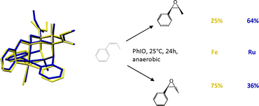 Iron vs. ruthenium - A comparison of the stereoselectivity in catalytic olefin epoxidation