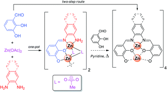 Isolation and characterization of unusual multinuclear Schiff base complexes: Rearrangements reactions and octanuclear cluster formation