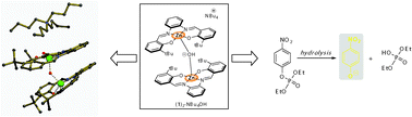 Isolation and characterization of a new type of ?-hydroxo-bis-Zn(salphen) assembly
