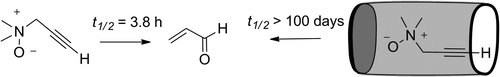 Kinetic Stabilization of N,?N-?Dimethyl-?2-?propyn-?1-?amine N-?Oxide by Encapsulation