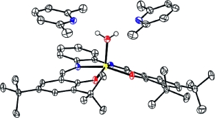 Ligation of substituted pyridines to metallosalphen complexes – Crystallographic characterization of an unexpected four-component supramolecular assembly comprising a sterically demanding ligand